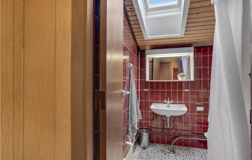 uma casa de banho com um lavatório e um espelho em Pet Friendly Home In Hadsund With Wifi em Haslevgårde