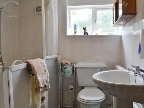 baño con aseo y lavabo y ventana en Ty Newydd Green Cottage, en Llanfachraeth