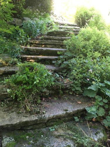 The Porches – Photos 5