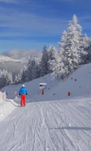 L'établissement Michis Aparthotel en hiver