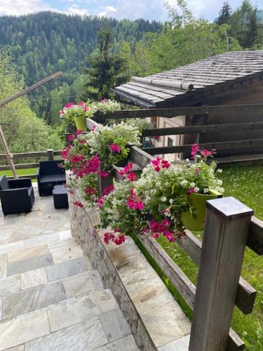 Ein allgemeiner Bergblick oder ein Berglick von der Ferienwohnung aus