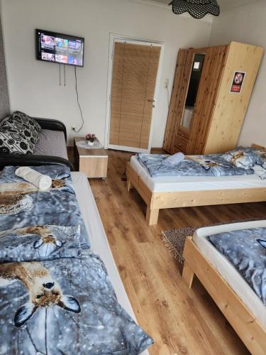 Gallery image of ORSI Eco apartman Kecskemét in Kecskemét