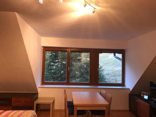 Fotografie z fotogalerie ubytování Švadla apartmán v Rokytnici nad Jizerou