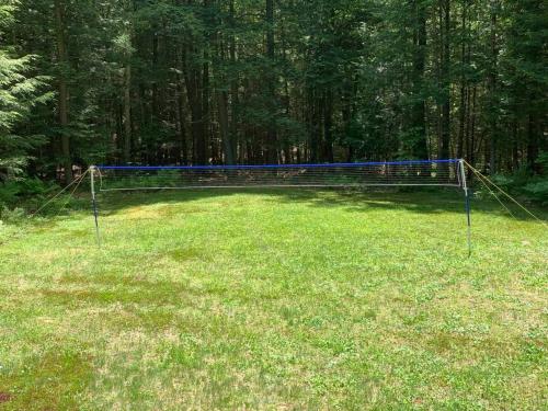 a net in the middle of a grass field at Amazing Acorn in Diamond Point