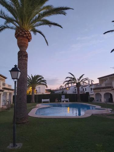 uma palmeira sentada ao lado de uma piscina em Casa del Toro em Els Poblets