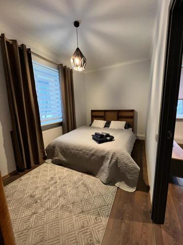 a bedroom with a bed and a large window at EVIS LTD apartments 3 in Rēzekne