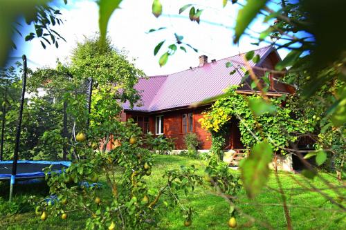 a red house with a red roof at Smolniki 28 in Smolniki