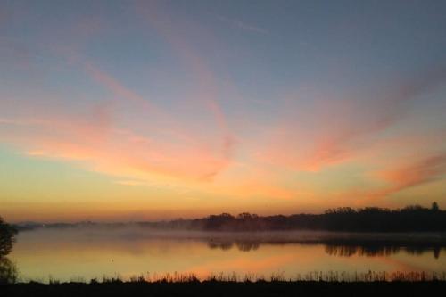 a misty sunrise over a lake with trees in the background at THE LAKE HOUSE: a delightful and peaceful retreat. in Derrymacash