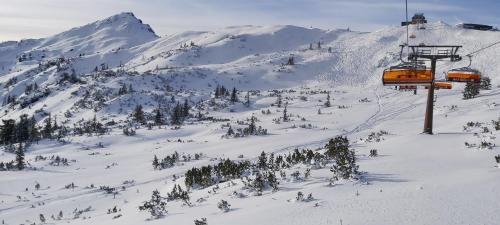 Fotografie z fotogalerie ubytování Hotel Garni Sonnhof ve Flachau