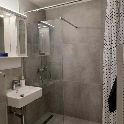 a bathroom with a shower and a sink at App 342 gemütlich und mit Weitblick in Braunlage