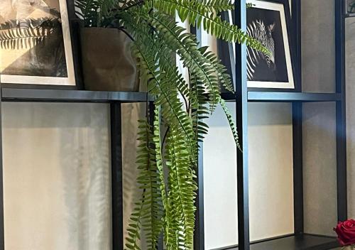 Fotografie z fotogalerie ubytování Stay at Smilla - Boutique Apartments mit Küche - Parken - Klima - Netflix - Waschmaschine v destinaci Wiesbaden