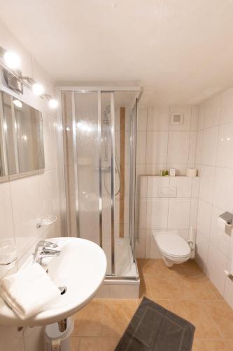 a bathroom with a shower and a sink and a toilet at Der Thomataler Wirt in Thomatal