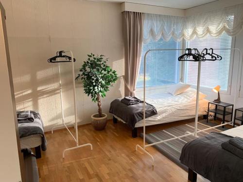 een slaapkamer met 2 bedden en een potplant bij Omakotitalo, Pansio (near Meyer gate) in Turku