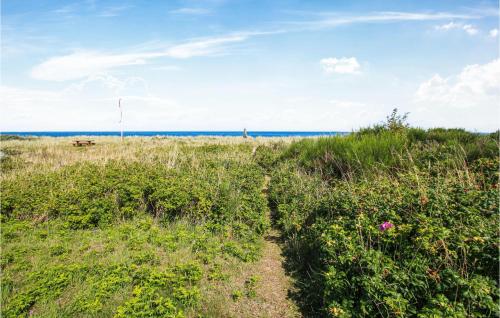 a path through the grass on the beach at 2 Bedroom Cozy Home In Samsø in Nordby