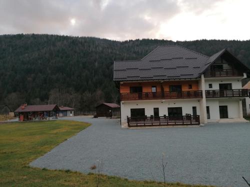 une maison avec une grande allée en face de celle-ci dans l'établissement Pensiunea Armonia Albac, à Albac