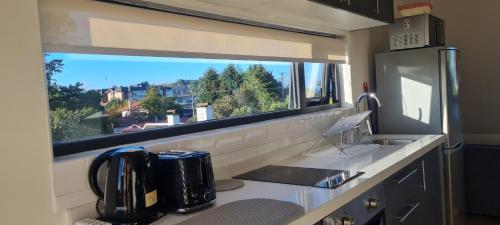 eine Küche mit einem Waschbecken und einem Fenster in der Küche in der Unterkunft Patagonia Route Apartments in Puerto Varas