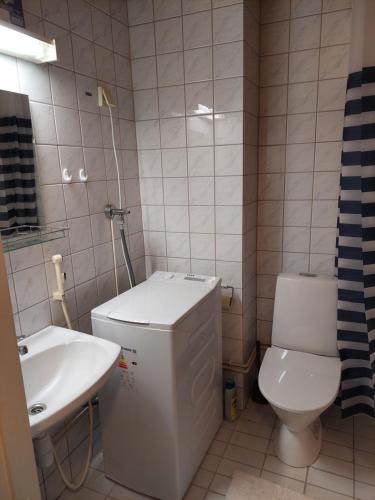 a small bathroom with a toilet and a sink at Kauppala in Soini