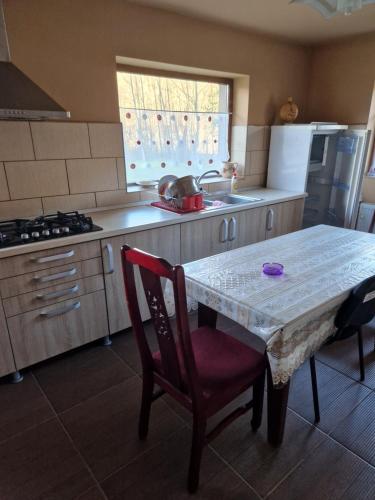 a kitchen with a table and chairs and a sink at Casa Jan Bonca in Lorău