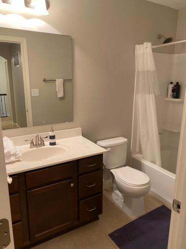 uma casa de banho com um lavatório, um WC e um chuveiro em Lakefront view private bedroom and bathroom with kitchen em McCordsville