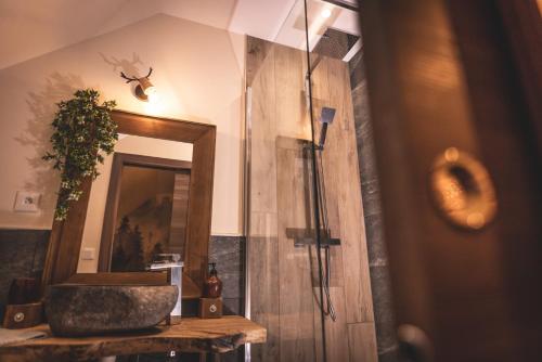 uma casa de banho com um chuveiro, um lavatório e um espelho. em Maison de Rêve en Alsace - Chez Maïdala 3 étoiles em Houssen
