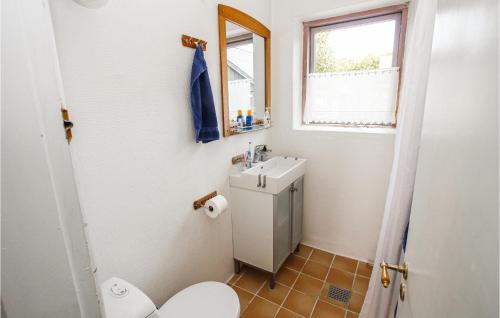 a bathroom with a sink and a toilet and a window at 3 Bedroom Gorgeous Home In Samsø in Ballen