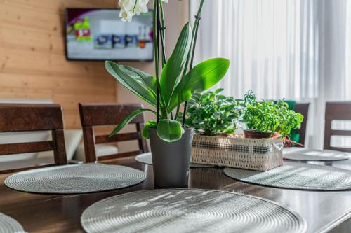 Fotografie z fotogalerie ubytování Apartamenty Gawlaki Zakopane v Zakopaném