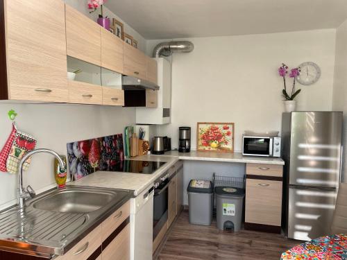 cocina con fregadero y nevera de acero inoxidable en Wehr Orchidee Apartment en Wehr