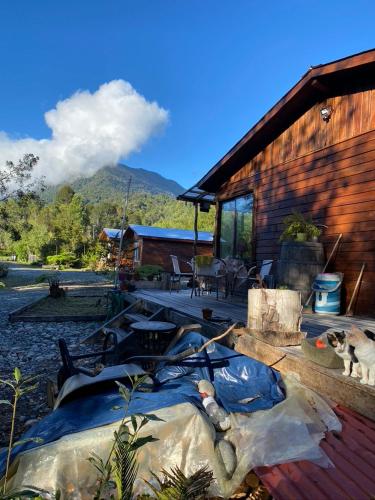 a cat standing in front of a house with a building at Cabañas & Tinajas Entre Volcanes in Hornopiren