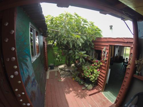 an internal view of a house with a courtyard with plants at Green House Hostel in Cabo Polonio