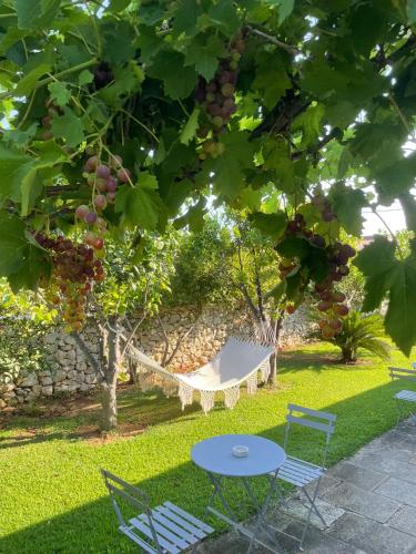 Zahrada ubytování Masseria Vittoria