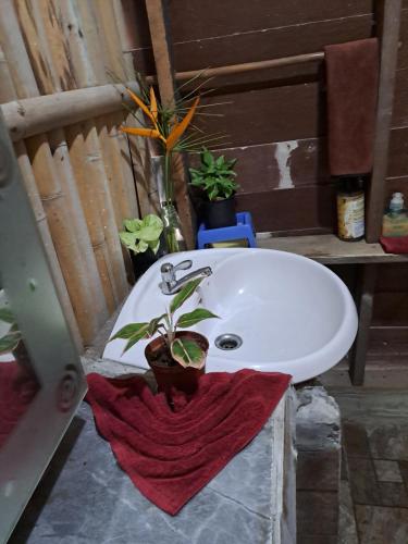 a bathroom with a sink with plants on it at Big Hug Home in Ko Yao Noi