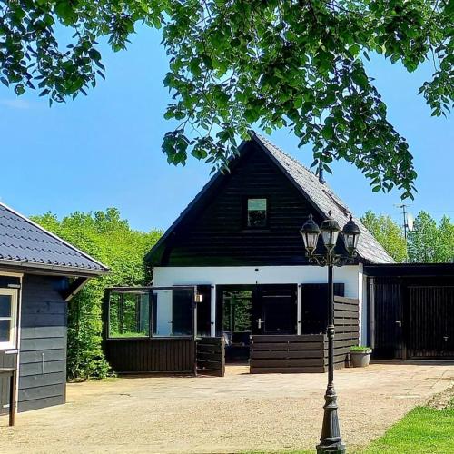 a house with a black roof and a street light at Natuurhuisje Wolterholten in Baars