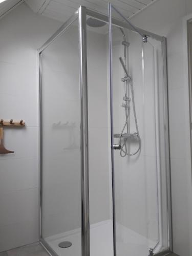 a shower with a glass door in a bathroom at Natuurhuisje Wolterholten in Baars