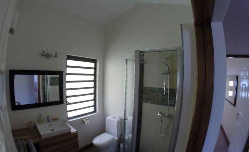 Villa des Frangipanes tesisinde bir banyo