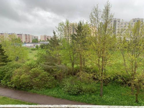 a group of trees and bushes in a park at Quiet and comfortable apartment with parking for a nice stay for one,two or a couple with a child in Tallinn