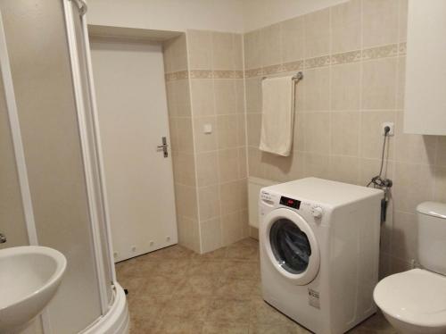 a bathroom with a washing machine and a toilet at Chalupa u golfu Kořenec in Kořenec