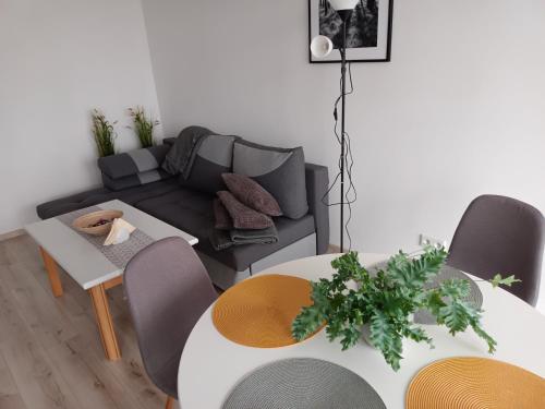 ein Wohnzimmer mit einem Sofa und einem Tisch in der Unterkunft Apartament 41 in Rumia