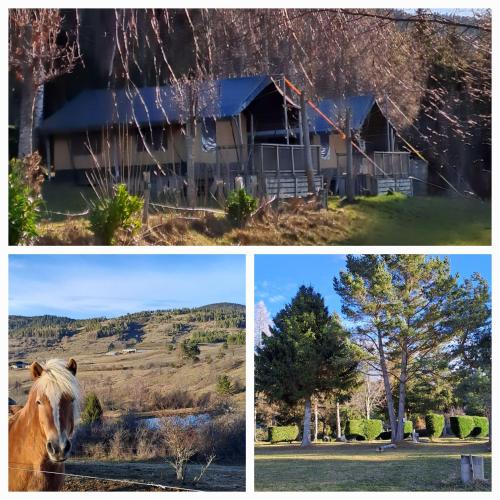 Gallery image of Chalet et mobil homes dans la montagne au Camping les Sapins in Camurac