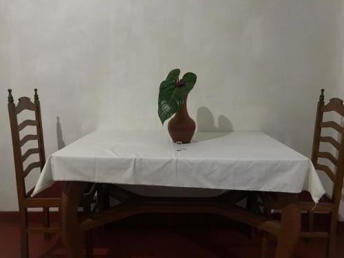 キャンディにあるH S Home Stayの白いテーブル布の上に座る花瓶