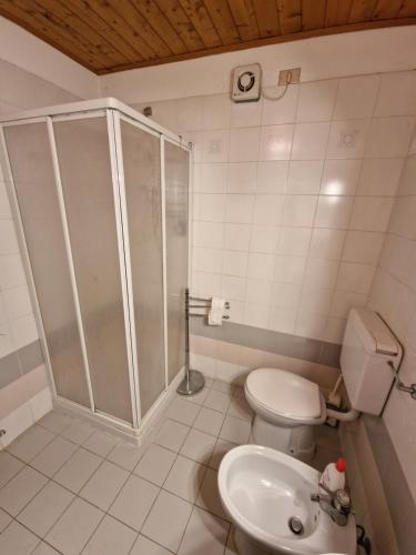 uma casa de banho com um chuveiro, um WC e um lavatório. em Appartamento Latemar Predazzo em Predazzo