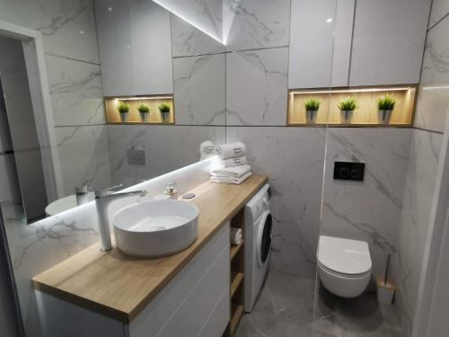 a bathroom with a sink and a toilet and a mirror at Apartament Przystań z tarasem in Giżycko