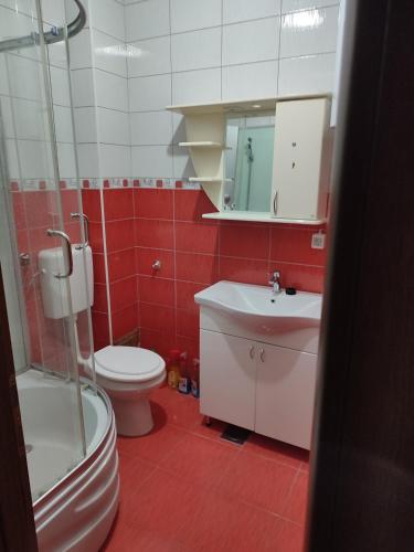 a bathroom with a toilet and a sink and a shower at Janković apartman in Pale
