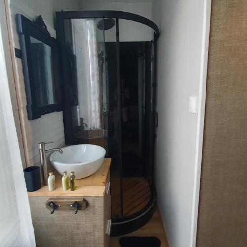 une salle de bain avec un lavabo et une douche dans l'établissement Villa Etiennette 1, au Crotoy