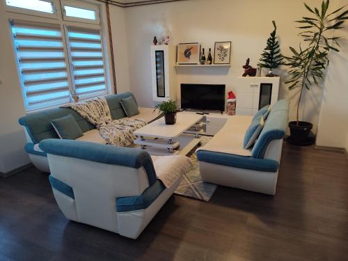 帕莱Janković apartman的有两张沙发和一台电视的客厅