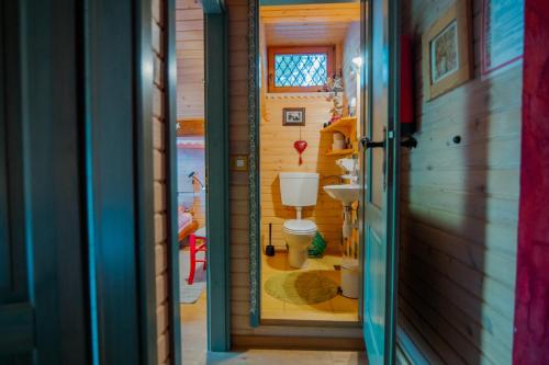 a bathroom with a toilet and a sink at Chalet Alpinka in Cerklje na Gorenjskem