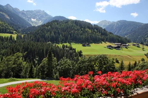 a view of a valley with red flowers at Bauernhof Strieder in Maria Luggau