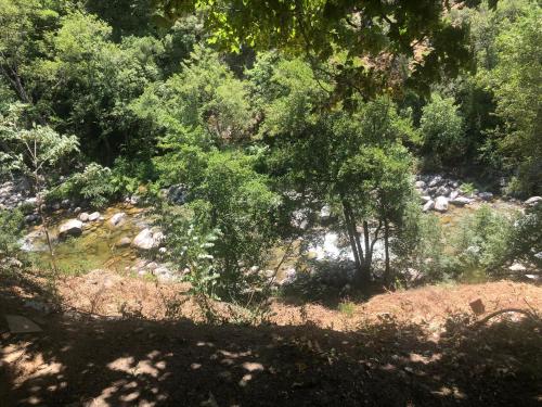 une forêt pleine d'arbres et de rochers dans l'établissement Chambre avec balcon à louer, à Bains de Guitera