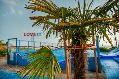 a palm tree sitting in front of a playground at Maszoperia Sun4hel Kite & Wind & Surf in Jastarnia