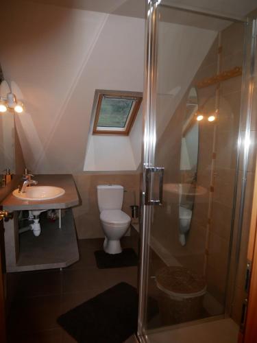 a bathroom with a shower and a toilet and a sink at Gîte du Durrenbach in Lautenbach
