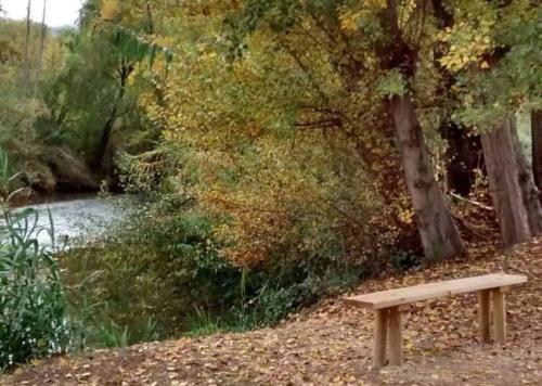a bench sitting next to a river with trees at La Casa del Río, piscina natural a 5 min en coche in Villacarrillo